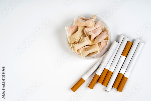 the choice of nicotine between snus and cigarettes, сopy space