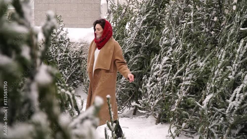 the middle plan of a fashionable sexy brunette girl with beautiful long dark hair, a coat of brown wool, it is snowing, the girl chooses a spruce, beautiful winter