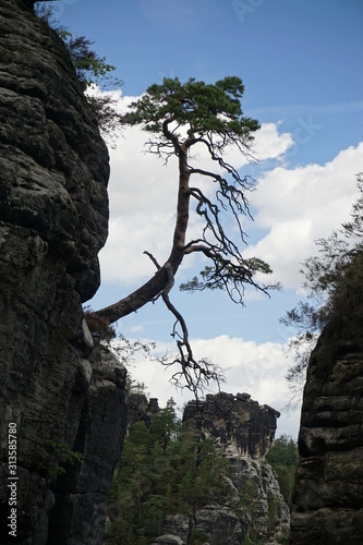 Bastei, Dresden, Germany