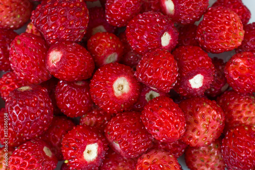 bright ripe wild strawberries isolated - many berries-close-up super macro