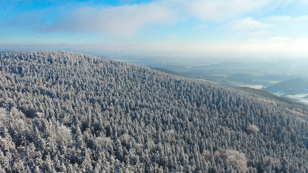 Fototapeta premium Aerial view of white spruce trees covered in fresh snow on sunny winter day in mountain, Liberec, Czech Republic