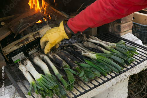 Preparando Calçots, tradicional en Cataluña photo