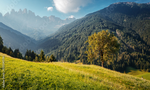 Awesome alpine highlands in sunny day. Alps mountain meadow tranquil summer view. Landscape with Fresh grass, perfect sky and rock mountains Dolomites under bright sunlight. Amazing Nature Scenery. © jenyateua