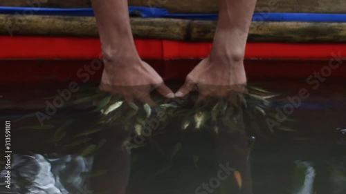 a collection of fish clean the dirt on the hands