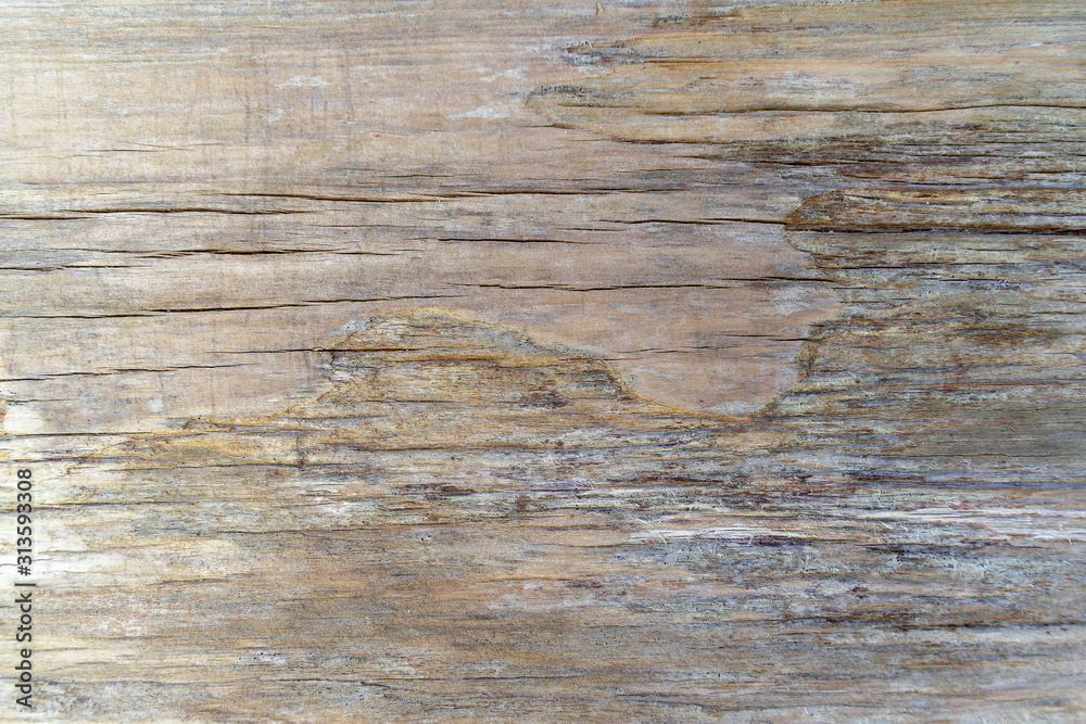Old wood background. Textured wooden wall Old wood background. Textured wooden wall
