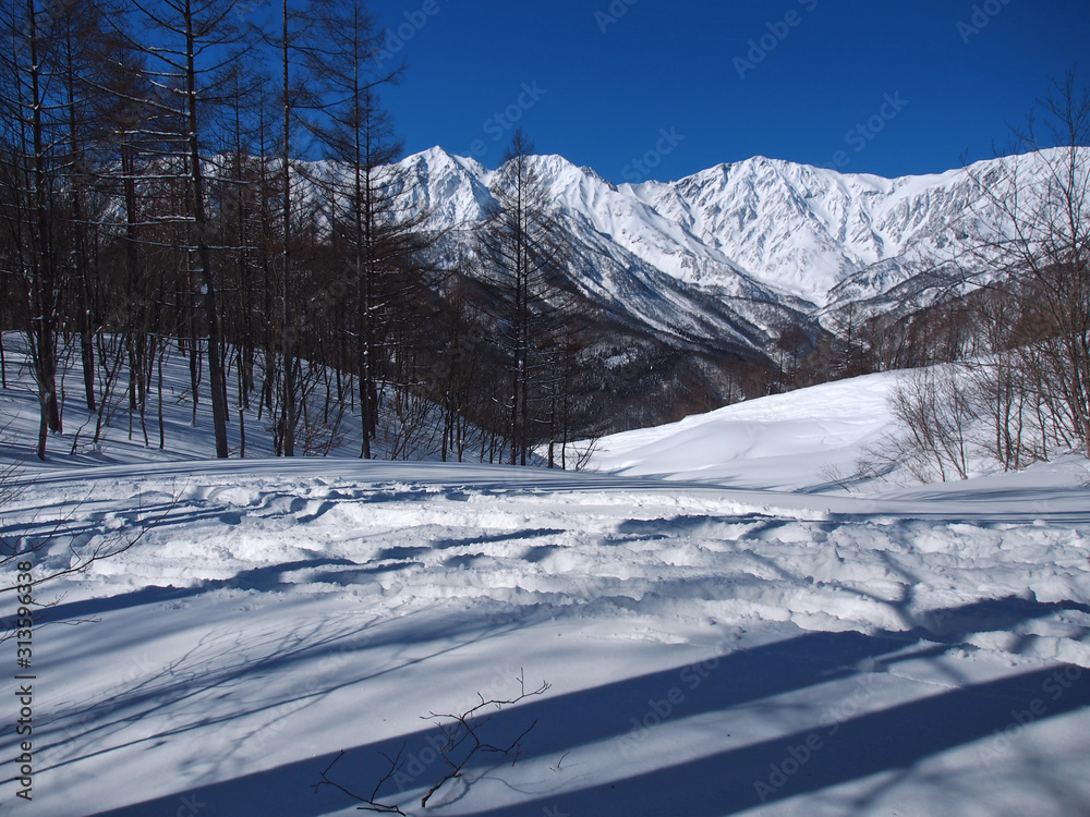 白銀の山と白い雪原【日本アルプス・hakuba】