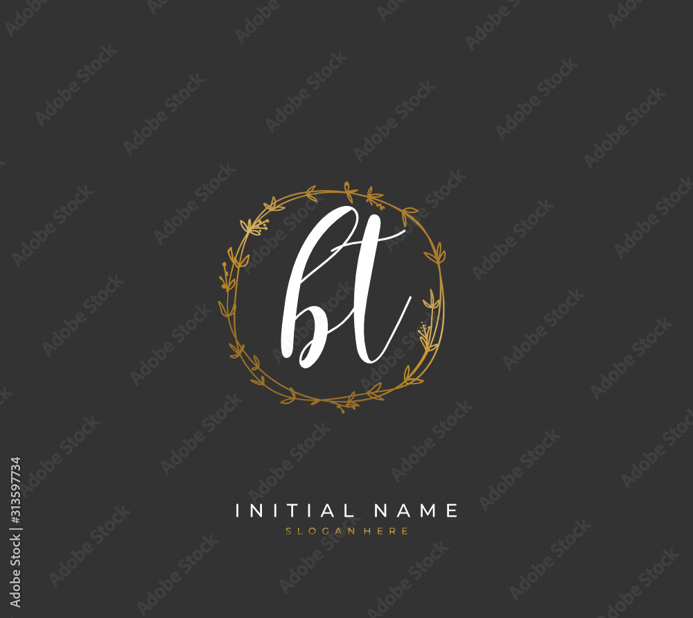Handwritten initial letter B T BT for identity and logo. Vector logo template with handwriting and signature style. Handwritten initial letter B T BT for identity and logo. Vector logo template with handwriting and signature style.