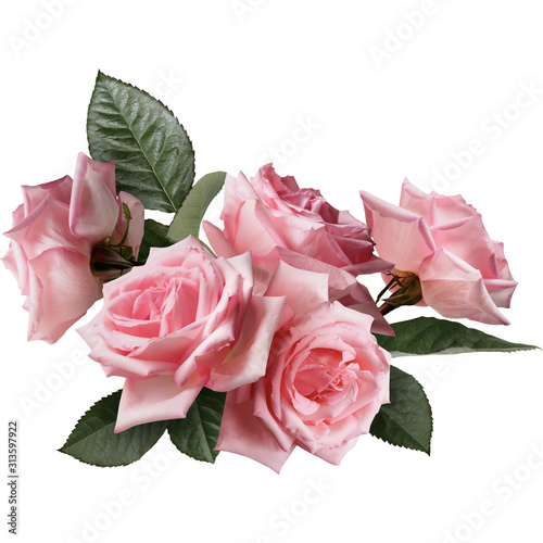 Fototapeta Naklejka Na Ścianę i Meble -  Pink roses isolated on black background. Floral arrangement, bouquet of garden flowers.