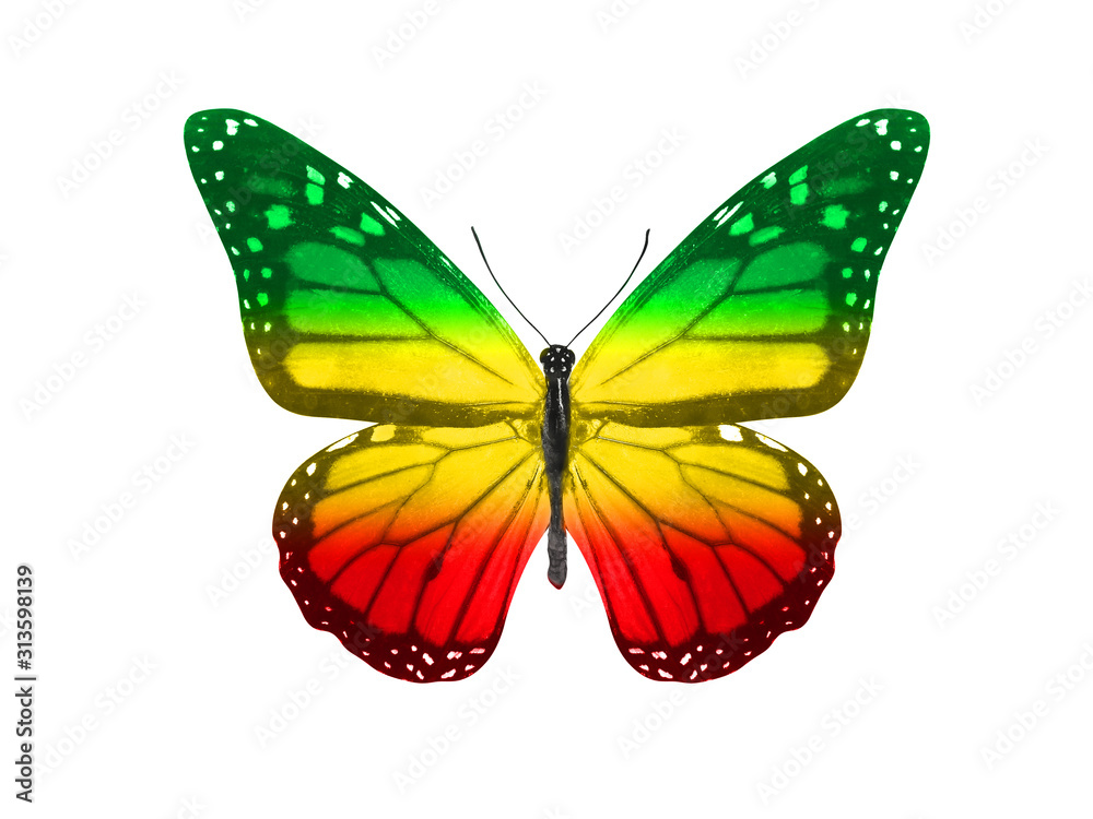 butterfly isolated on a white background. with wings of yellow, green ...