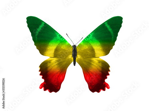 butterfly isolated on a white background. with wings of yellow, green, red. Rasta color. photo