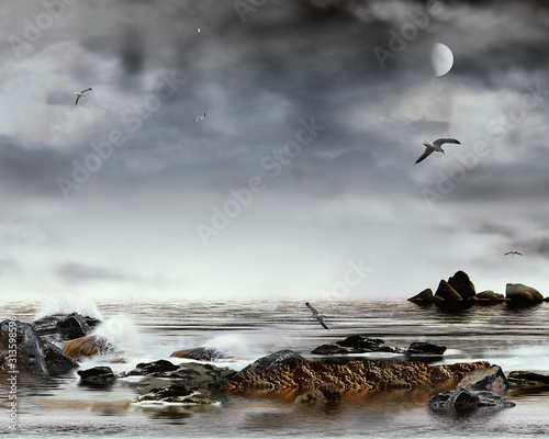 Brandung mit Felsen und Klippen im Meer mit Möwen © i-picture