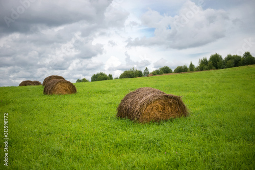 Rural landscape with hay rolls on growing green grass photo