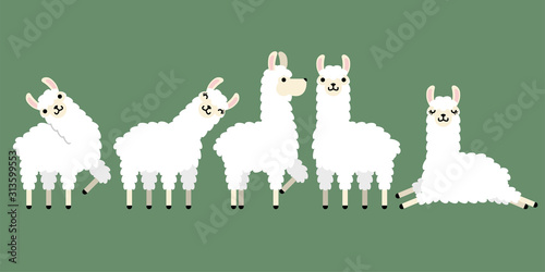 Set of cute white llama animal in different postures. Design for card, sticker , fabric textile, t shirt. children, kid modern trendy style. Vector illustration