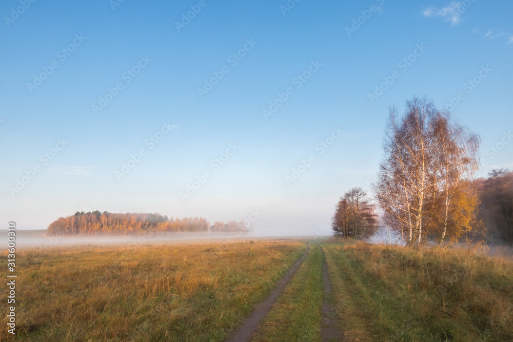 Road in the middle of a field in autumn at sunrise with fog