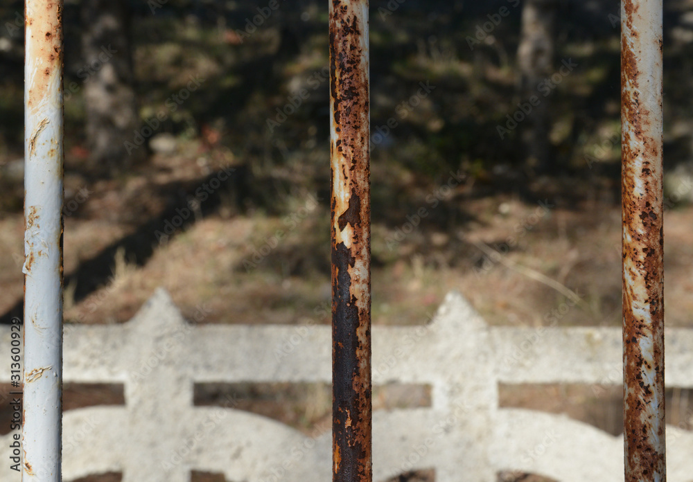 Fototapeta premium rusty iron fence on background