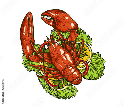 Red lobster with lemon and vegetable on white background.boiled lobster art highly detailed in line art style.