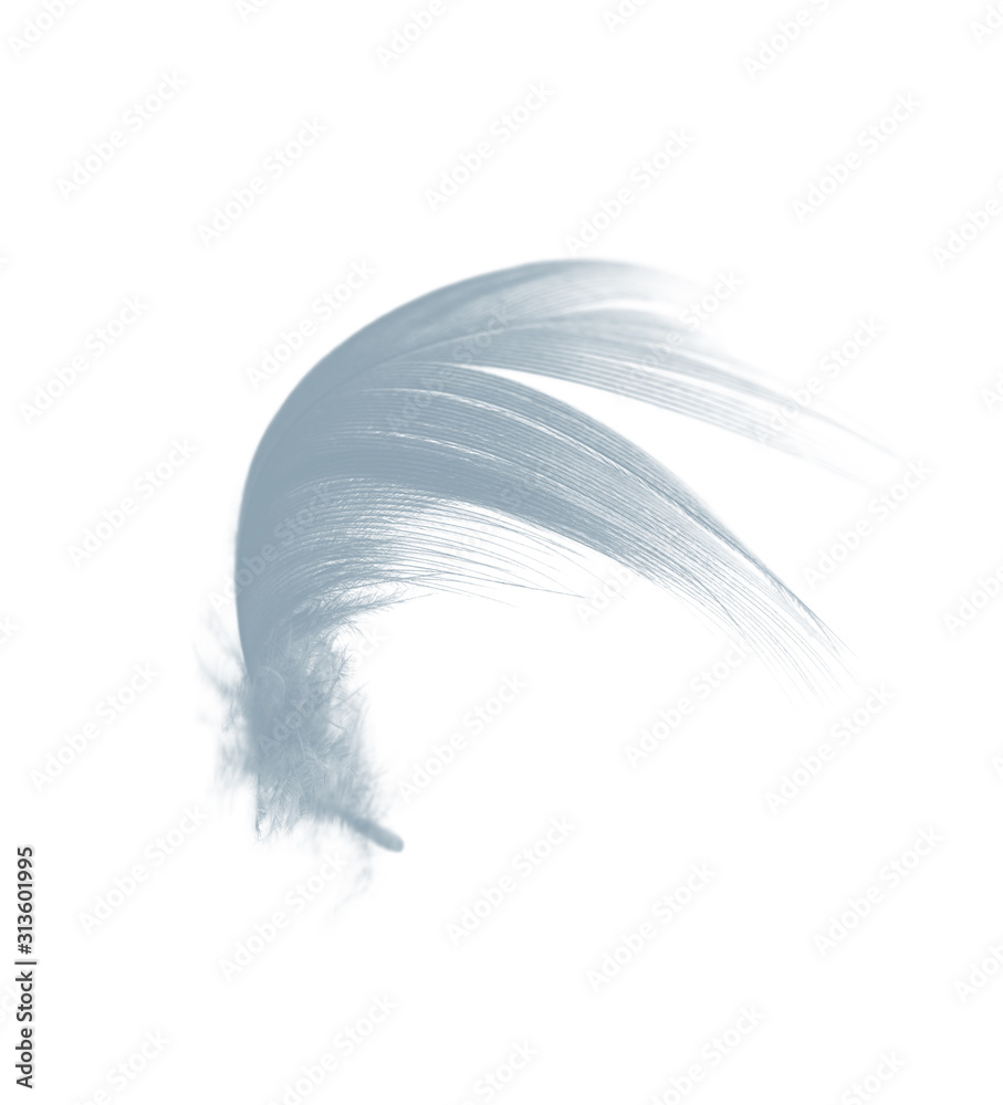 Beautiful baby blue colors tone feather floating in air isolated on black background Beautiful baby blue colors tone feather floating in air isolated on black background
