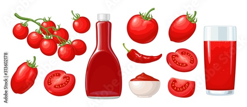 Set tomatoes. Branch, whole and slice. Vector flat color illustration.