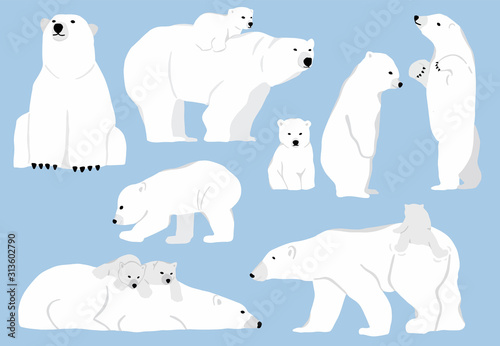 Simple white bear character.Vector illustration character doodle cartoon