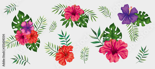 set of flowers with branches and leafs tropical vector illustration design