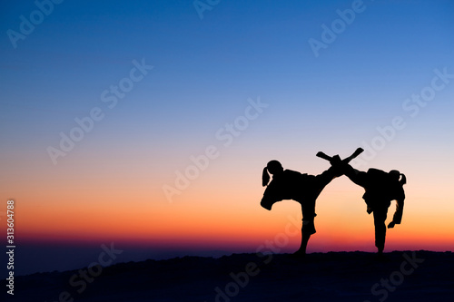 Silhouettes of fighters fight at sunset