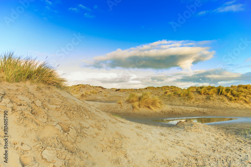 Wintry dune landscape Dutch coast at IJmuiderslag with new sand dunes raised by the wind covered with dune grasses and in the lowlands a freshwater dune lake created by heavy rain showers