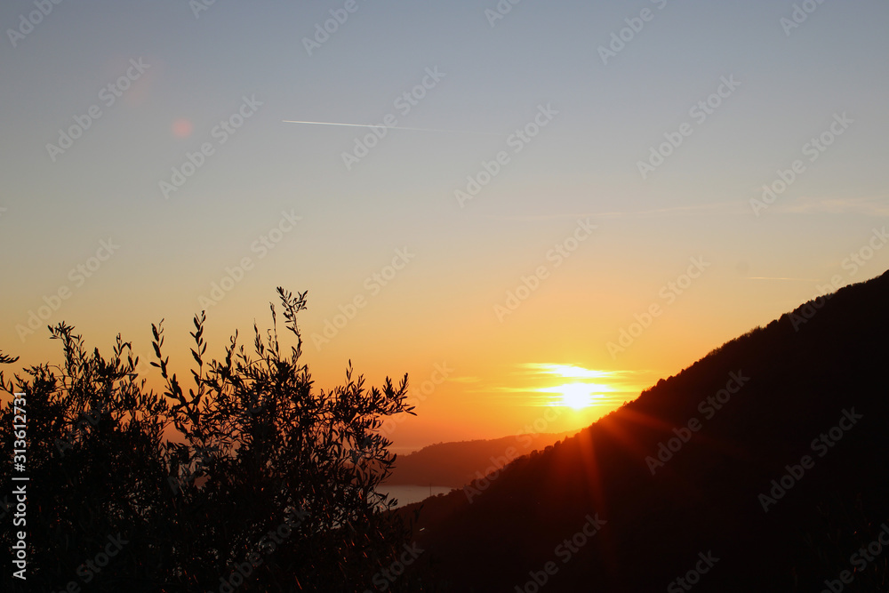 Fototapeta premium Tramonto marino con fronda e collina