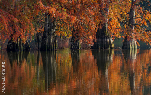 Les piliers de la terre .. photo