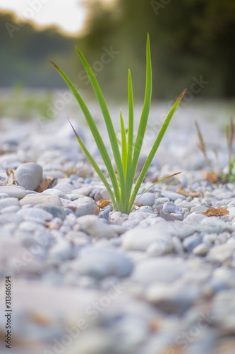 Entspring dem unmöglichen