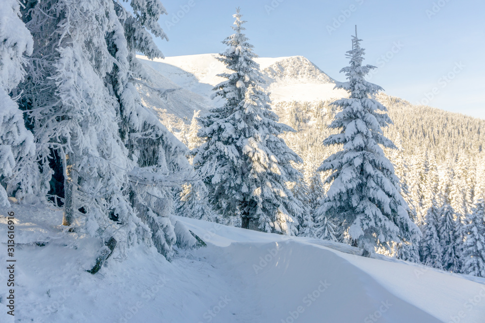 Carpathian mountain. Majestic winter landscape. Christmas time. Ukraine, Europe