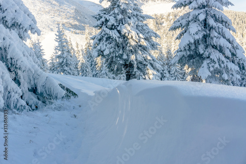Carpathian mountain. Majestic winter landscape. Christmas time. Ukraine, Europe © Oleksandr Matsibura