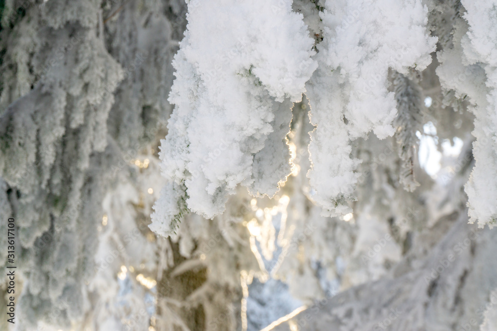 custom made wallpaper toronto digitalCarpathian mountain. Majestic winter landscape. Christmas time. Ukraine, Europe