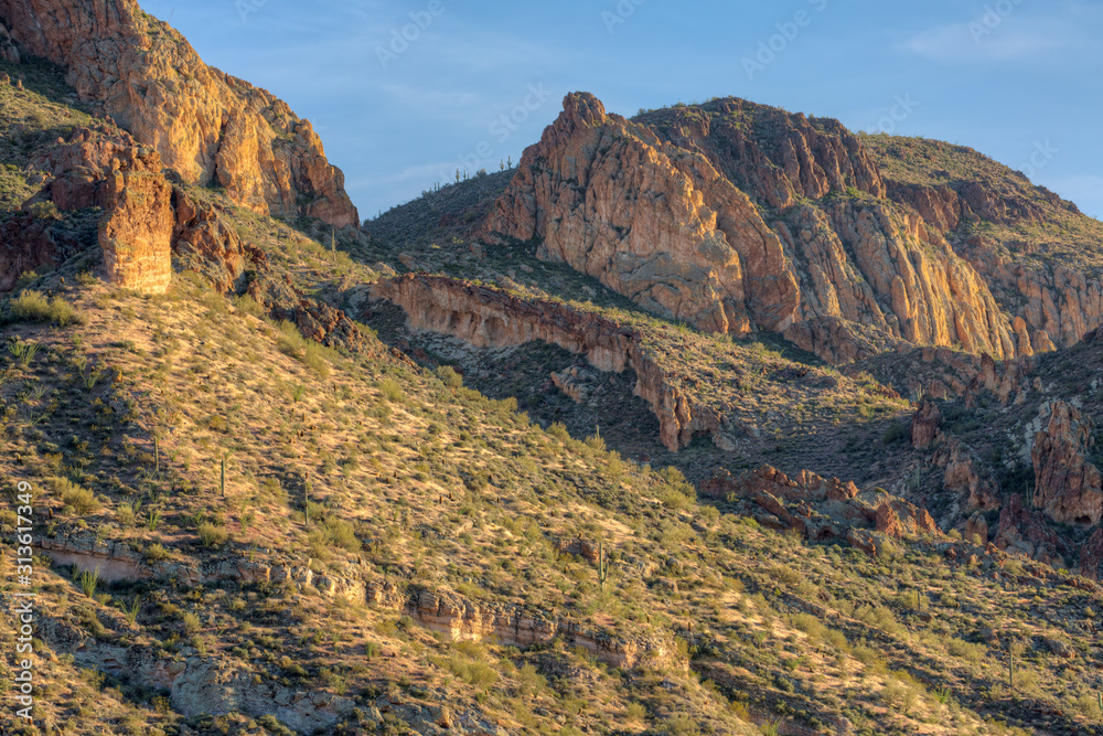 Spring landscape at sunrise along the Apache Trail, Tonto National Forest, Arizona, USA