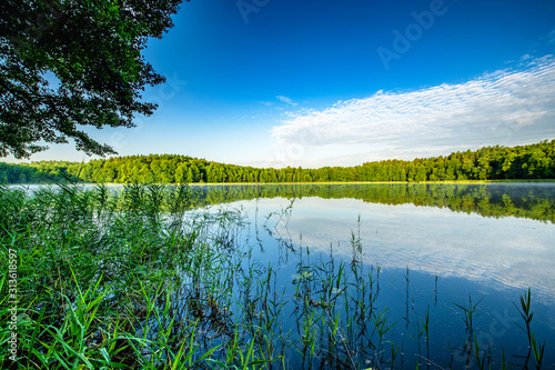 Fototapeta Naklejka Na Ścianę i Meble -  Beautiful summer day at the lake