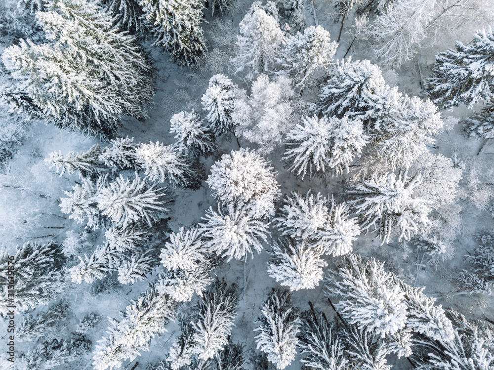 Aerial top view of snow covered winter forest trees in Finland. Aerial top view of snow covered winter forest trees in Finland.