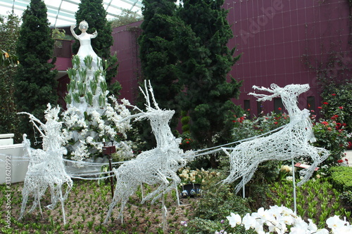 Reindeer