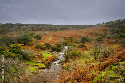 Dartmoor Near Meldon Quarry 2 photo