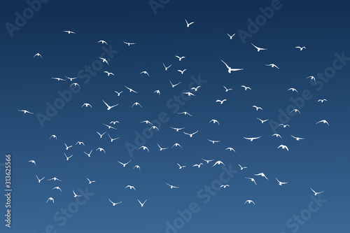 silhouette of a flock of flying birds