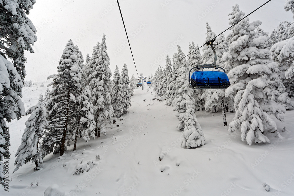 Koroglu Forest with snow covered pines trees on winter. Cable chair lift passing over on a snowy day. Koroglu Forest with snow covered pines trees on winter. Cable chair lift passing over on a snowy day.