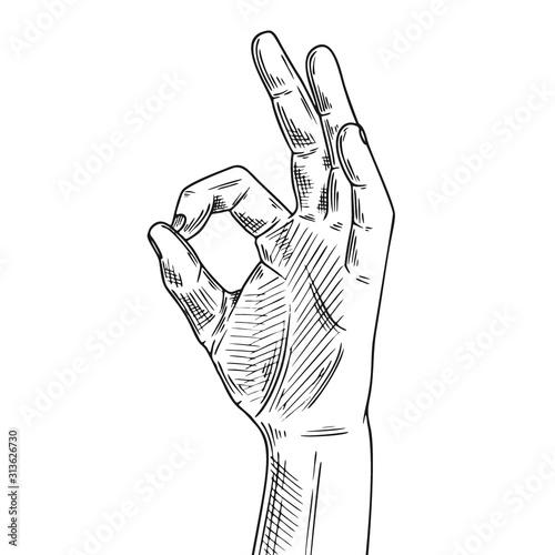 Hand gesture okay. Illustration in sketch style. Hand drawn vector