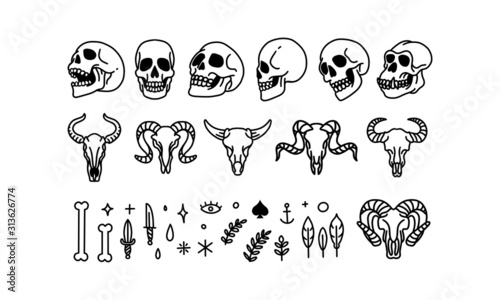 Set of iconic human skull and animal hand drawn . Line art vector illustration