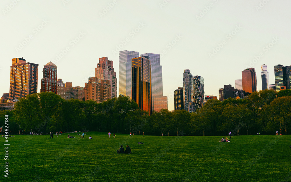Obraz premium Central park South New York, great design for any purposes. Midtown Manhattan, USA. View with Skyline of Skyscrapers architecture in NYC. Nature background. Urban cityscape. NY, US