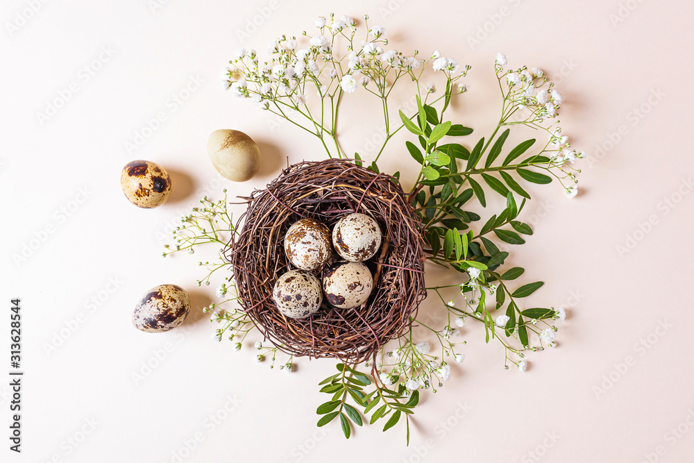 Quail eggs are in decorative nest and next to it. Around branch with green leaves and white small flowers. Light pastel background. Concept of spring, easter. Minimalism, flat lay, copyspace, top view Quail eggs are in decorative nest and next to it. Around branch with green leaves and white small flowers. Light pastel background. Concept of spring, easter. Minimalism, flat lay, copyspace, top view
