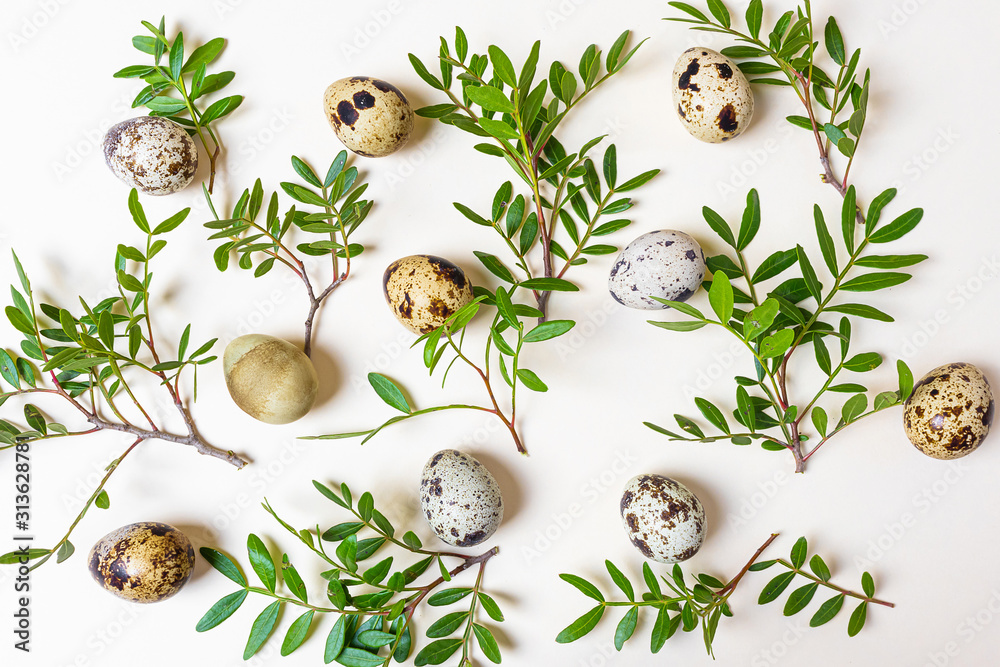 Obraz premium Quail eggs and branches with green leaves lie on a light pastel background. The concept of spring, Easter. Minimalism, flat lay, copyspace, top view. Easter banner.
