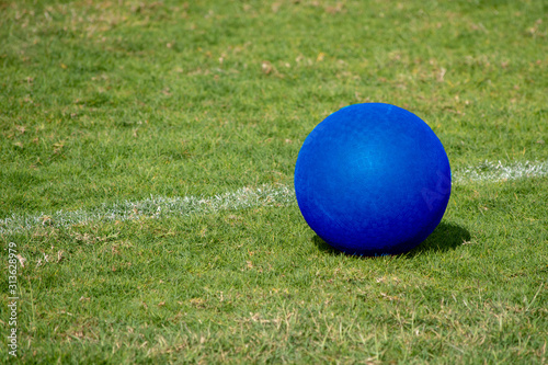 Slika na platnu A blue playground ball sits next to the white line on a green grass field for summer recreation and fun