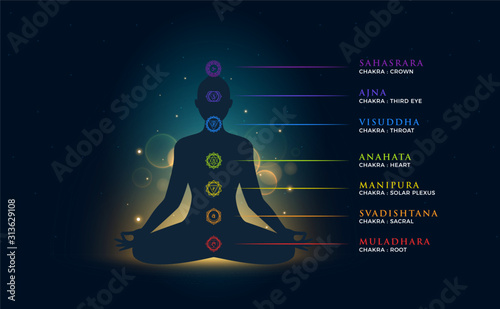 a person doing Meditation with chakra description. Isolated Vector Illustration.