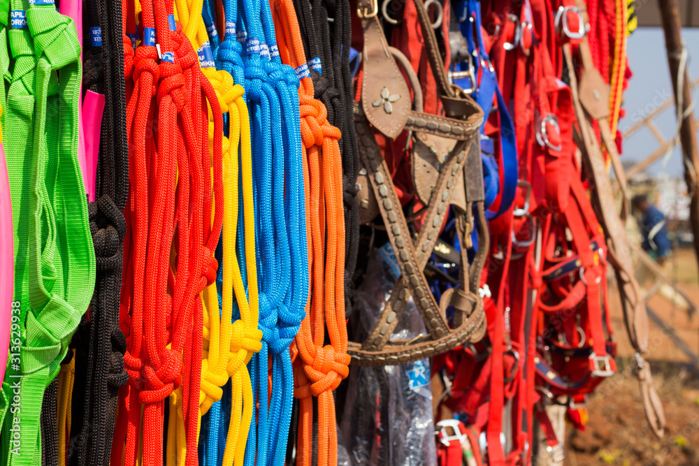 Various color and types of rope and belt used for cattle at cattle market tamilnadu, india.