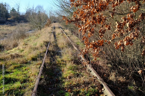 Overgrown railroad tracks of a disused railway line around Bielkowo, Pomerania, Poland