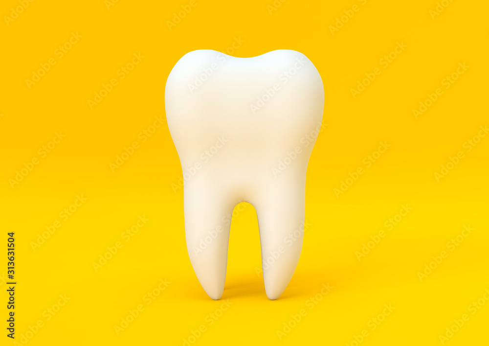 Dental model of premolar tooth on yellow background. Concept of dental examination teeth, dental health and hygiene. 3d rendering illustration Dental model of premolar tooth on yellow background. Concept of dental examination teeth, dental health and hygiene. 3d rendering illustration