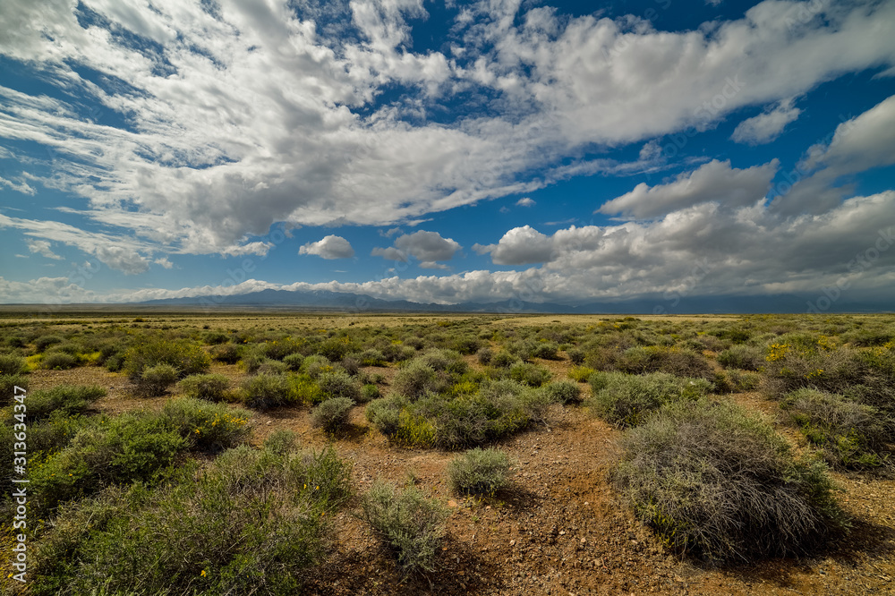 steppe landscape with blue sky and clouds